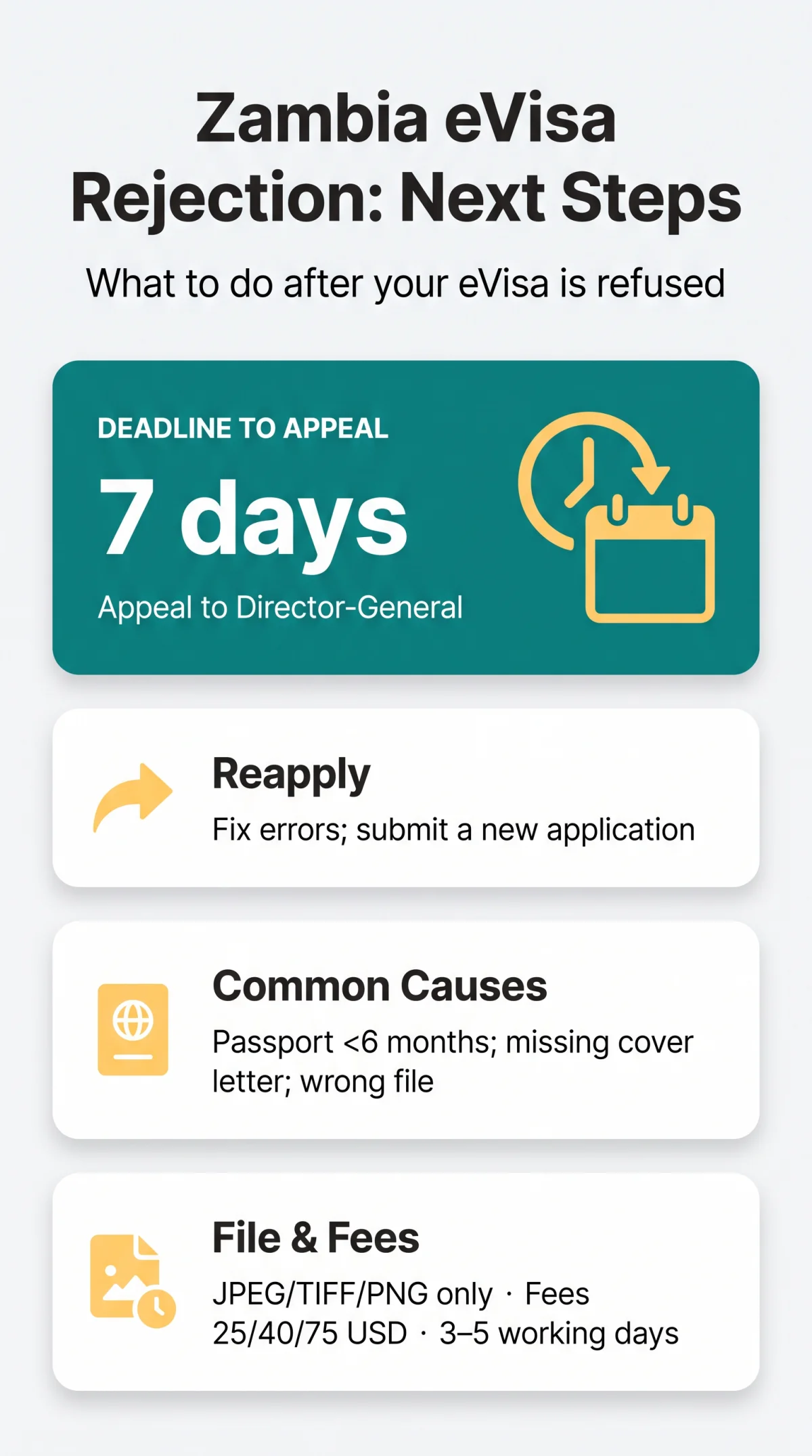 Infografika: Zambia eVisa Rejection Reasons: What to Do After Refusal